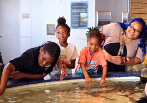 CPN organized Aquarium Night